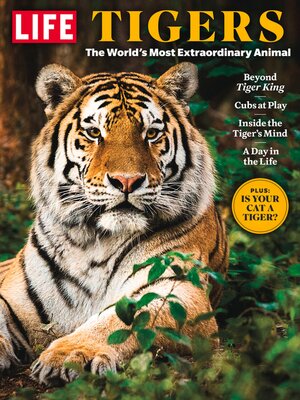 cover image of LIFE Tigers